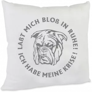 Kissen Ich habe meine Krise